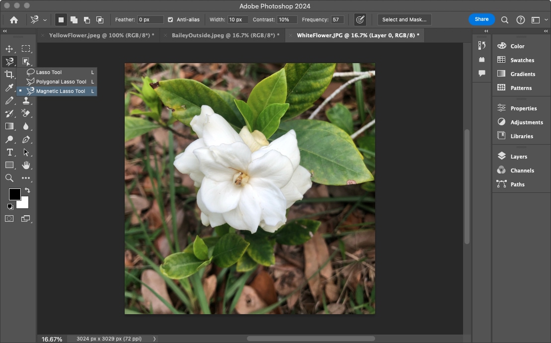 How to remove a background in Photoshop