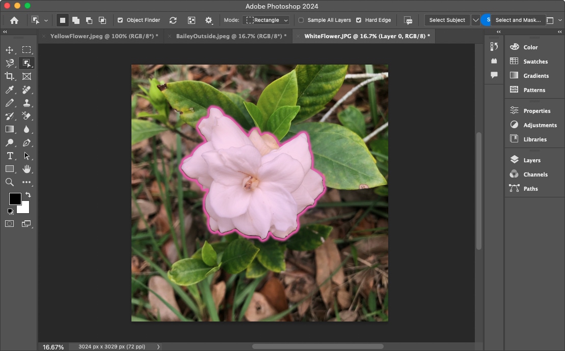Object highlighted and selected in Photoshop.