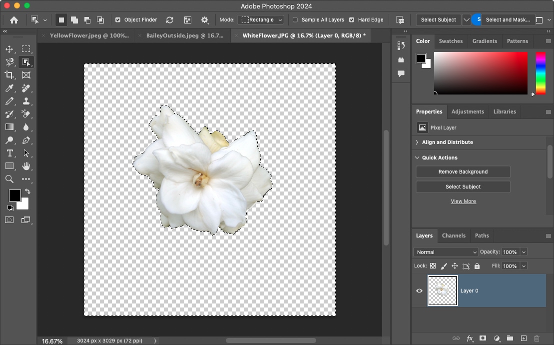 How to remove a background in Photoshop