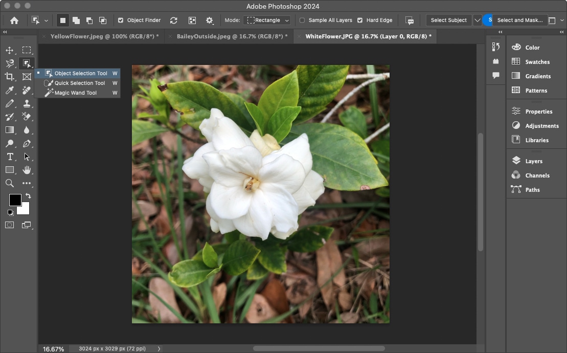 How to remove a background in Photoshop