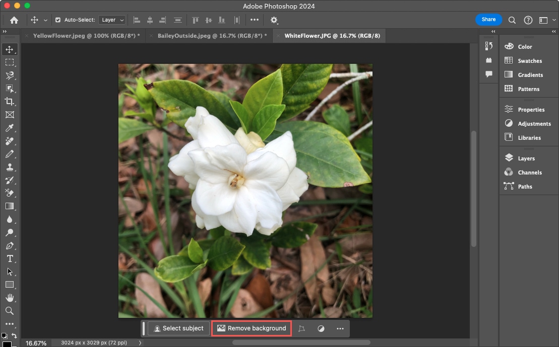 How to remove a background in Photoshop