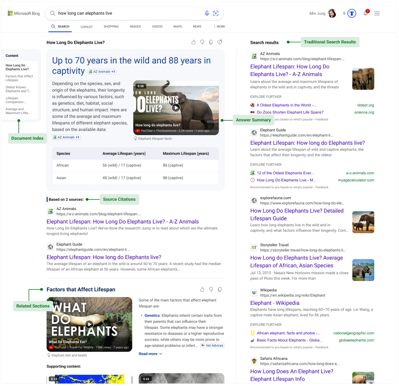 Bing generative search example.