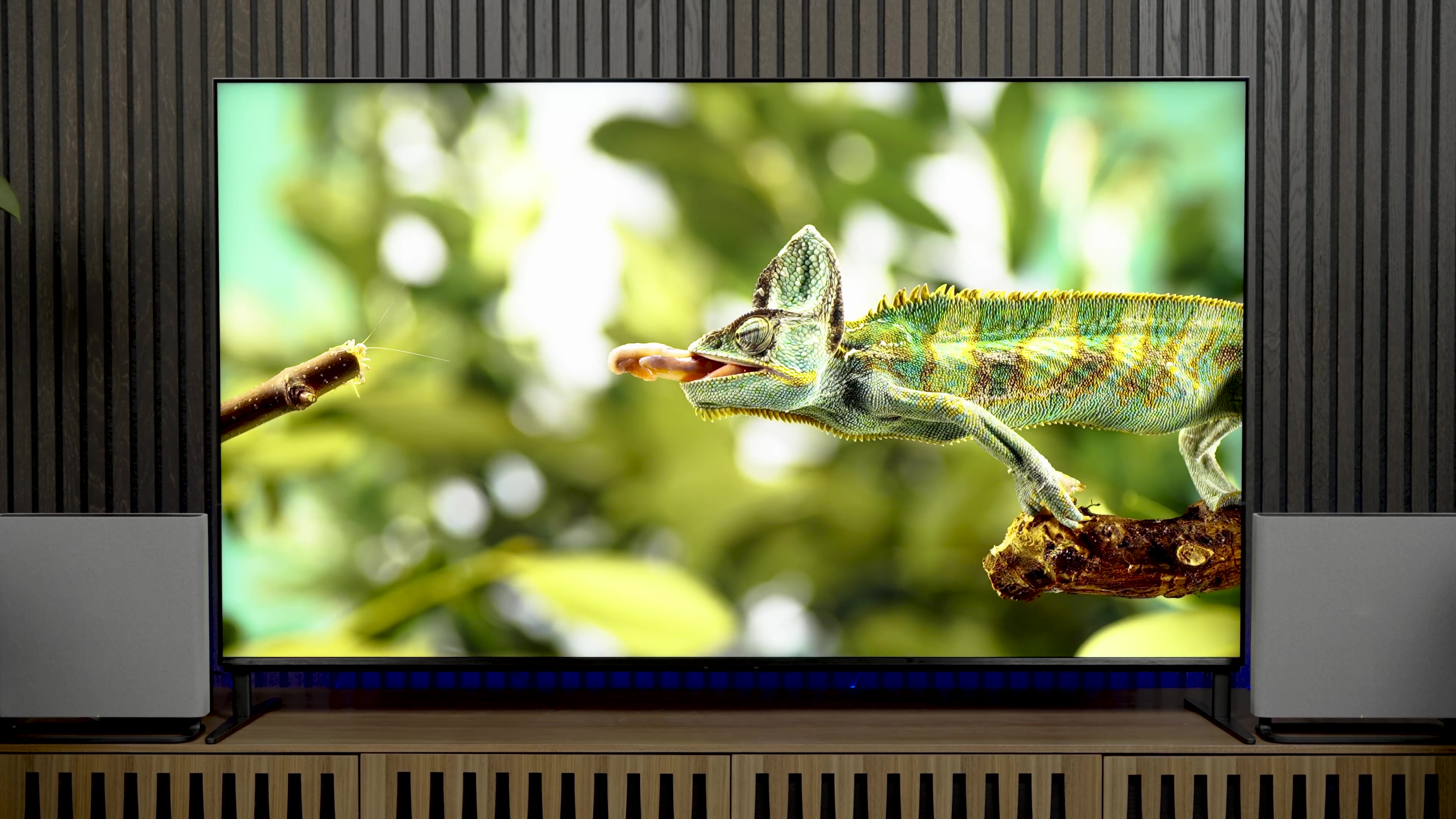 sony bravia 9 review