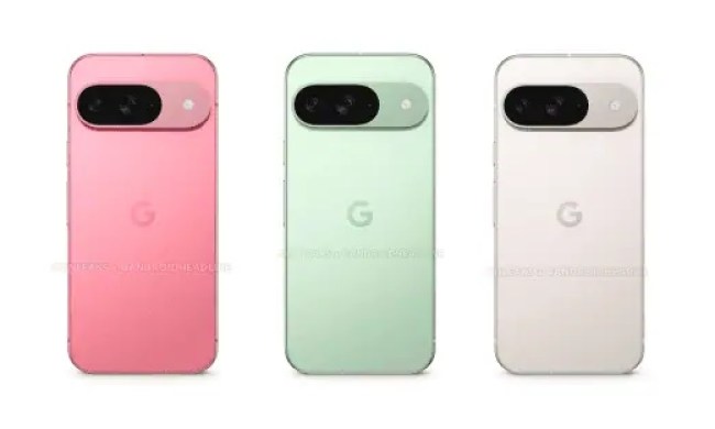 Pixel 9 color options.