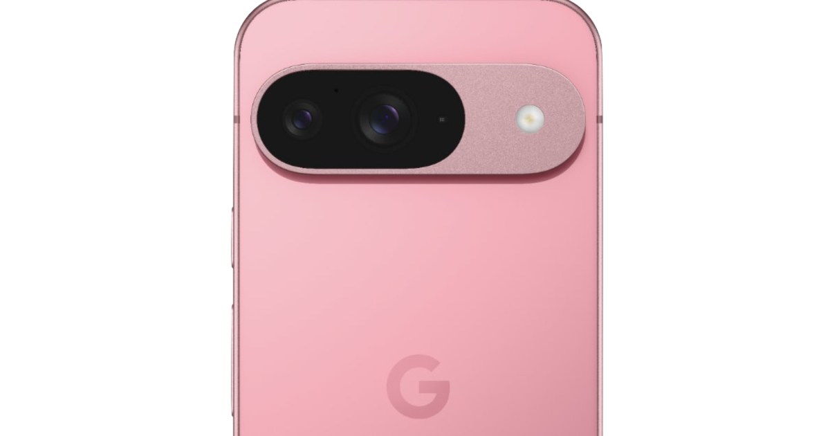 The Google Pixel 9 looks incredible in this new photo