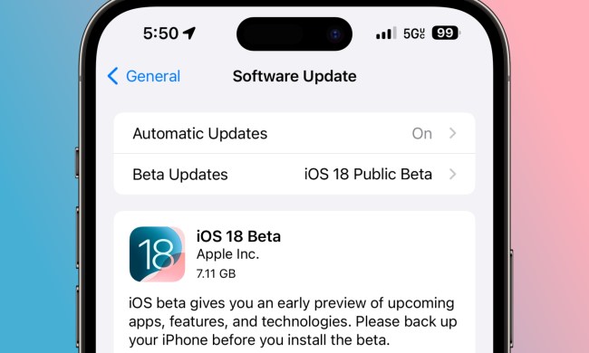 The Settings app on an iPhone showing the iOS 18 public beta.