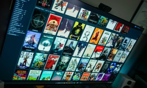 A Steam library filled with custom artwork.