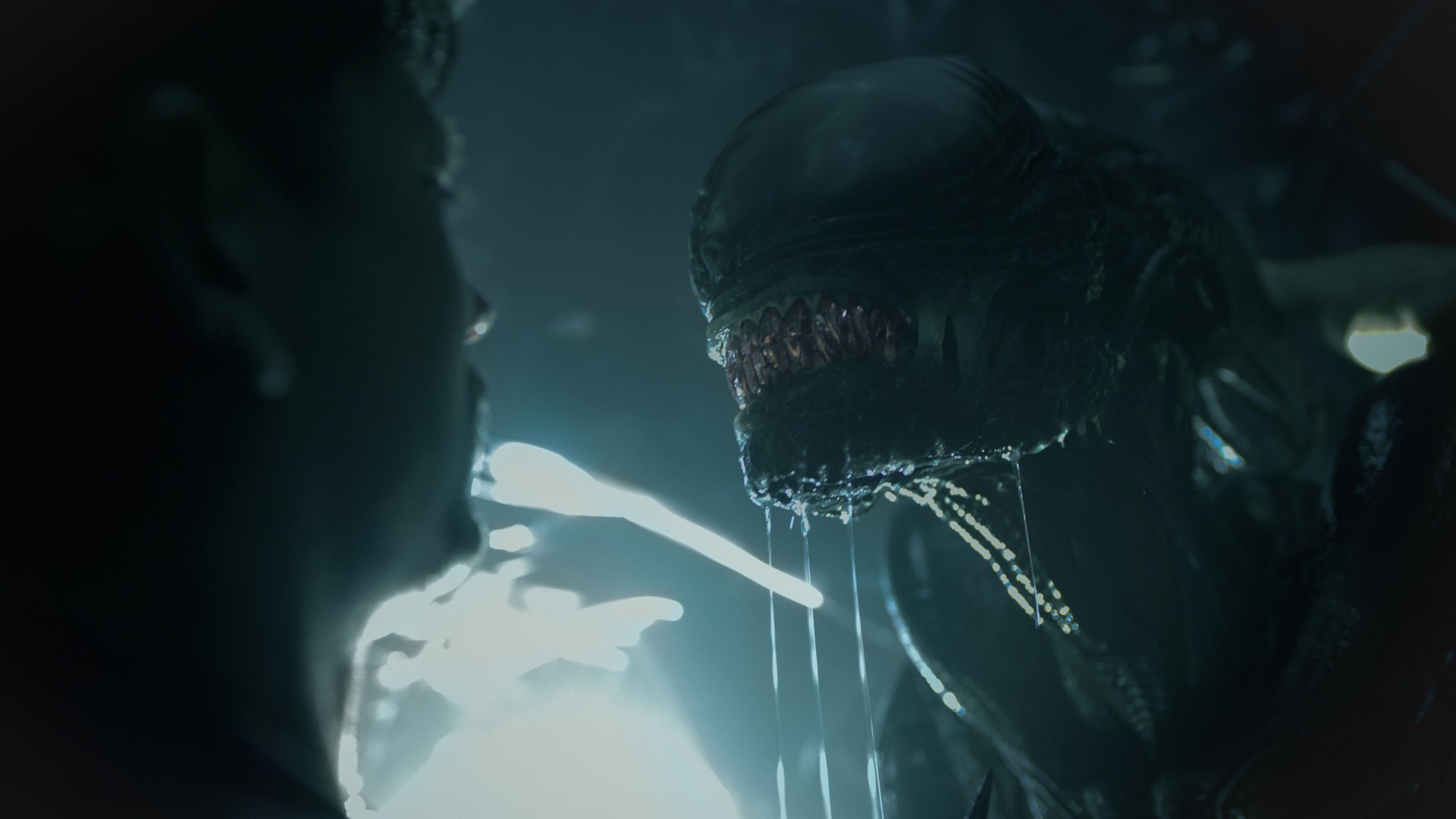 Der Xenomorph sabbert vor seinem nächsten Opfer in einem Standbild aus dem Film Alien: Romulus.