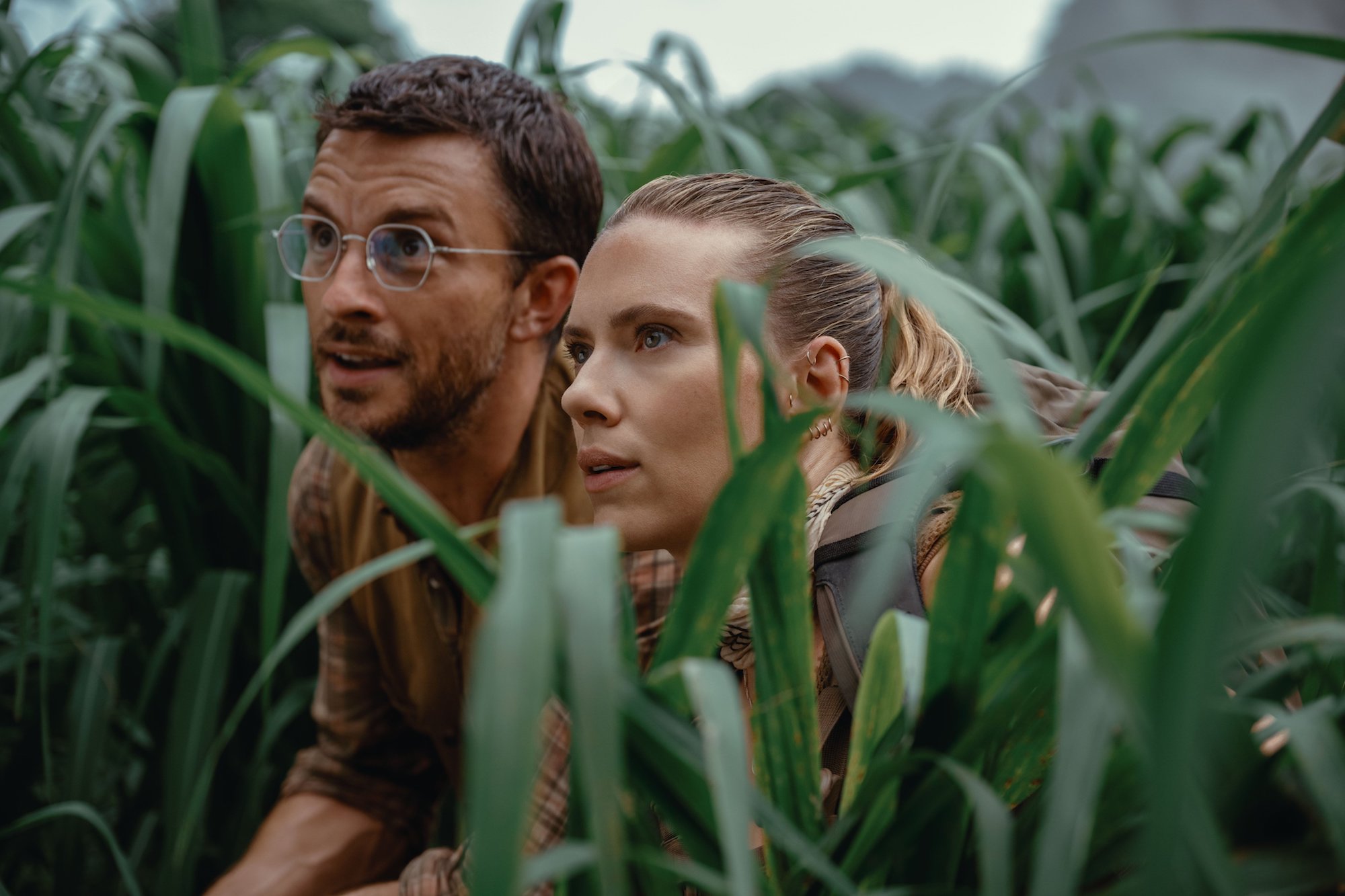 A man and woman hide in a field and stare curiously.