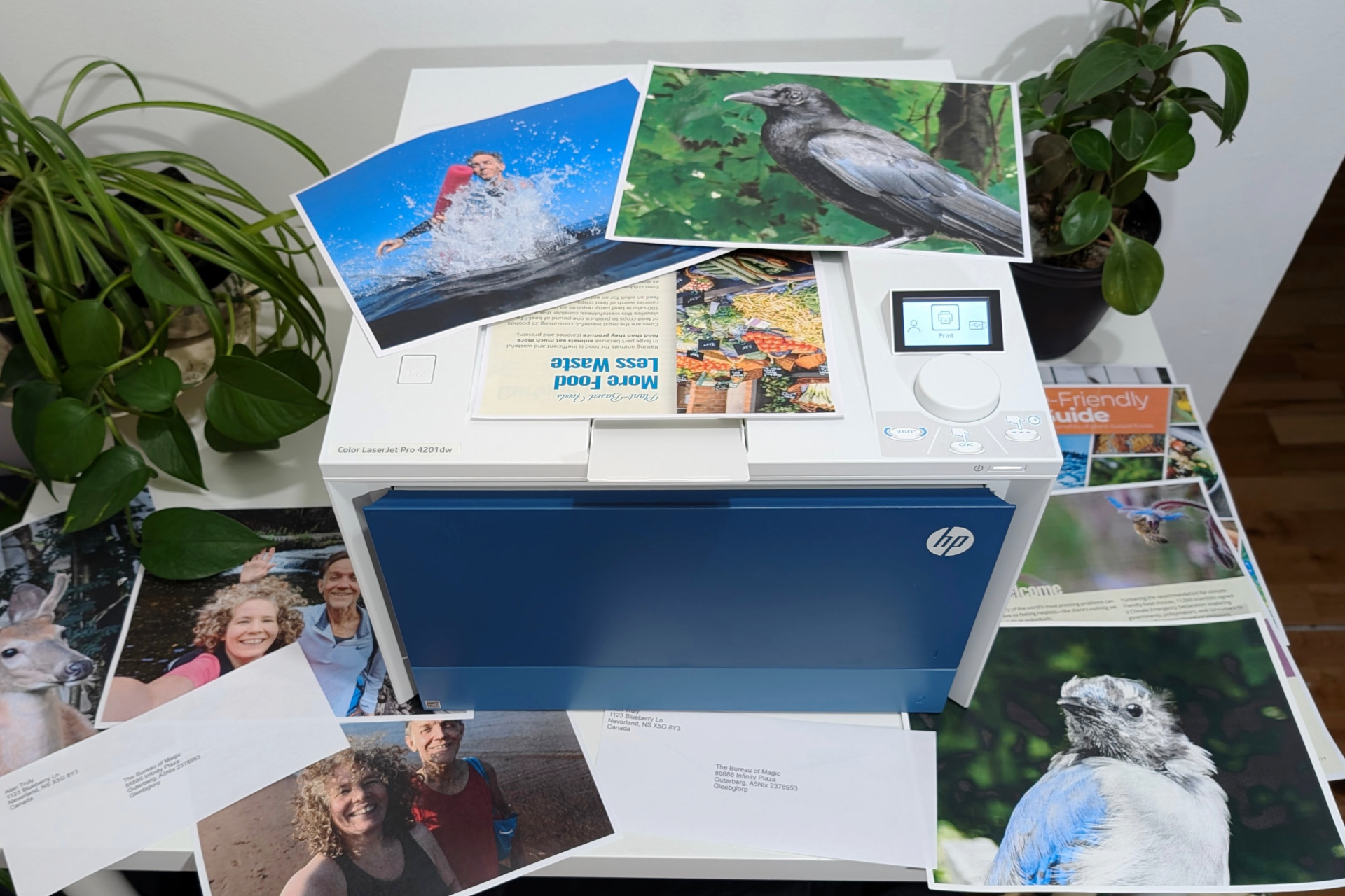 The best printers for small businesses: inkjets and lasers