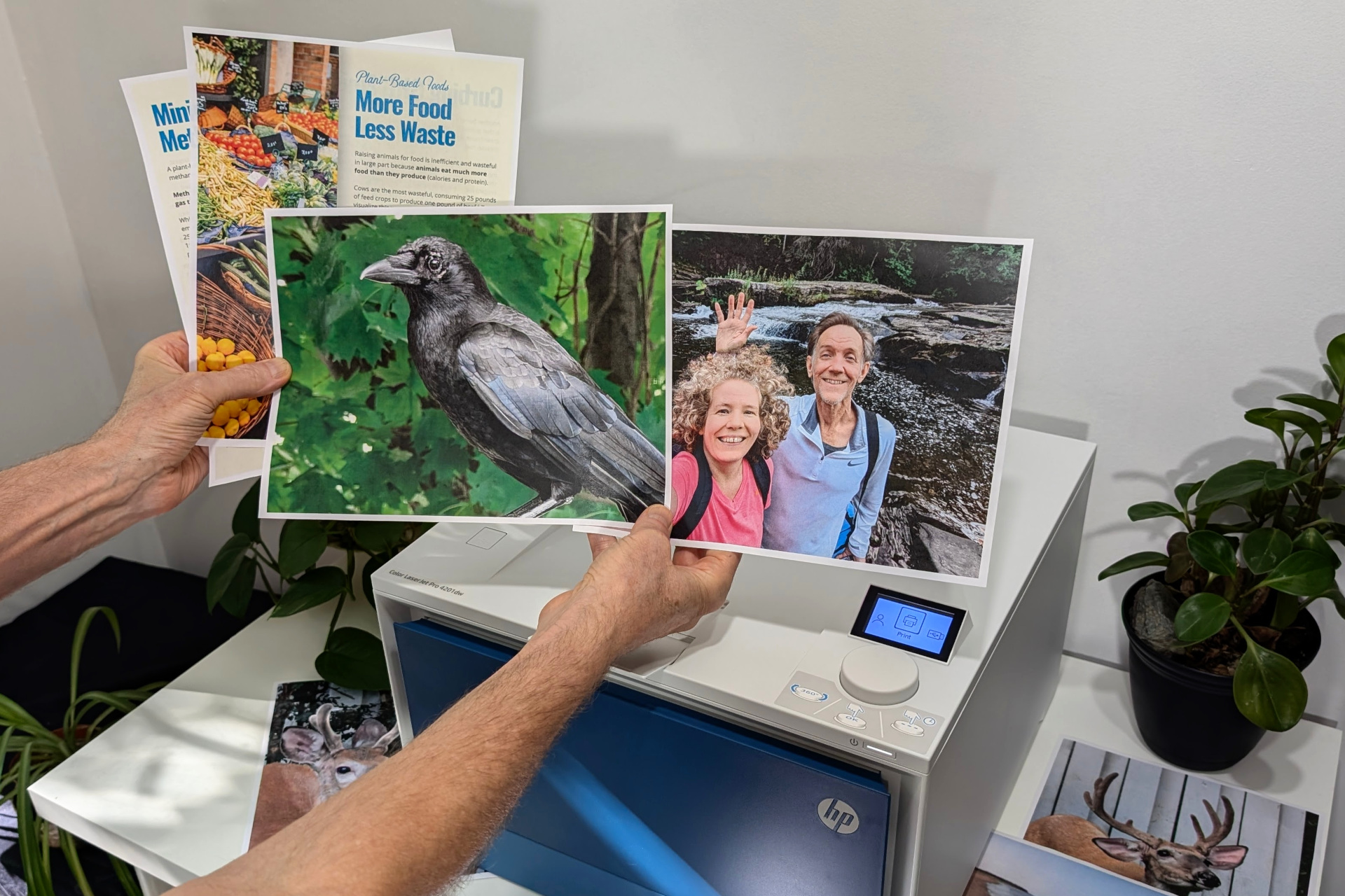 Don’t call it boring — this printer was an absolute joy to use