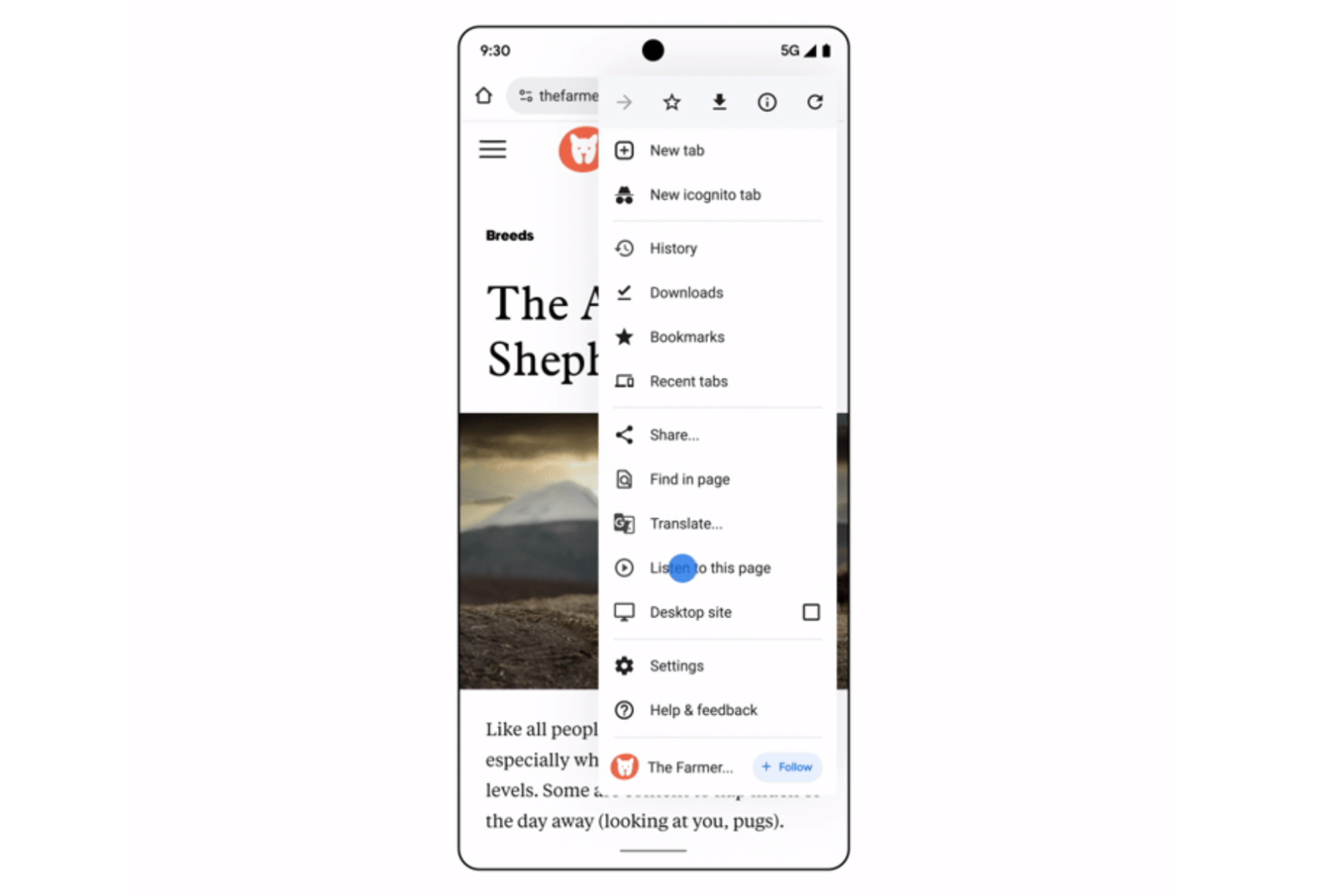 Reader in Chrome for Android.