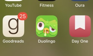 The Duolingo app icon, showing a sick-looking version of the Duolingo owl.