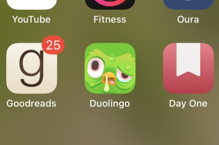 Does your Duolingo app icon look sick? You’re not alone