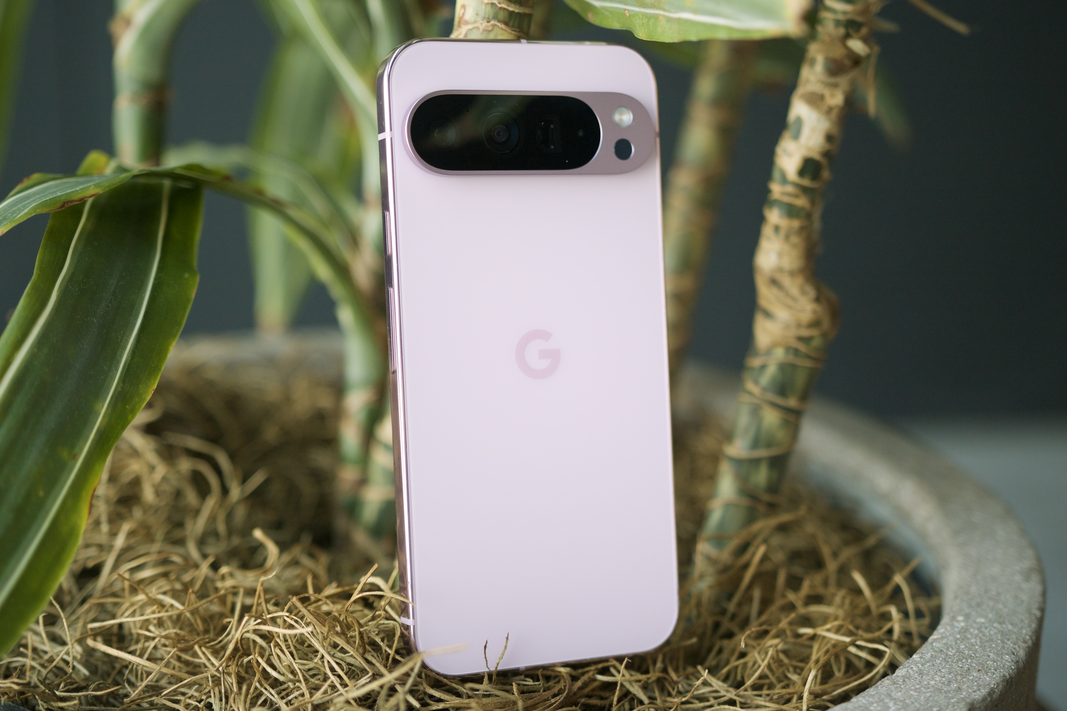 Um Google Pixel 9 Pro XL rosa encostado em uma planta.