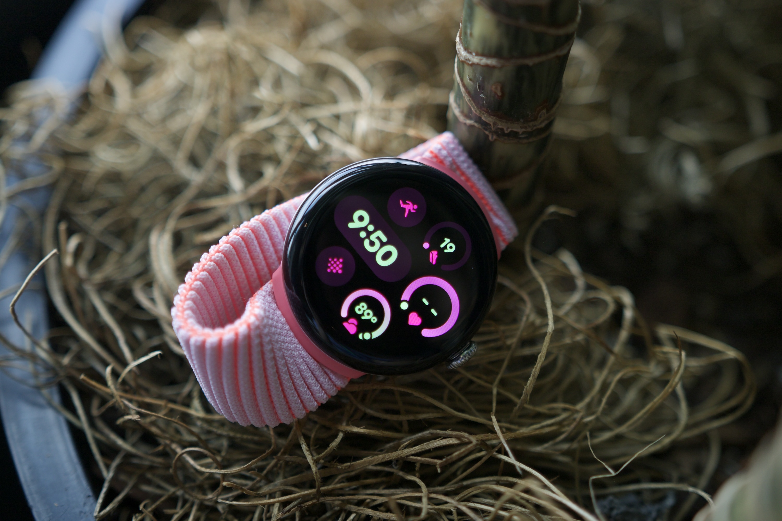 Google Pixel Watch 3 躺在植物顶部。