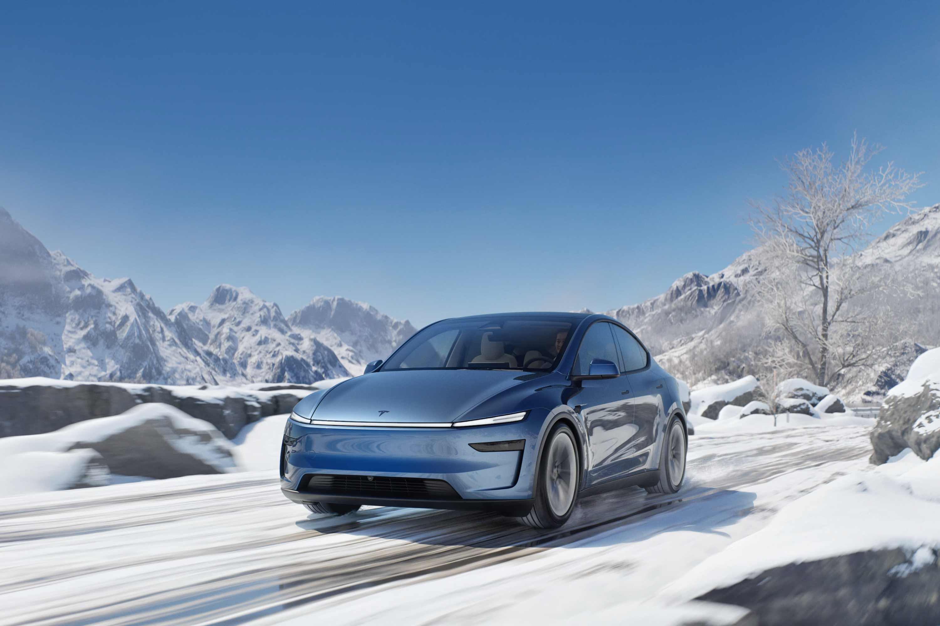 Juniper of Blue Tesla Model and in the snow