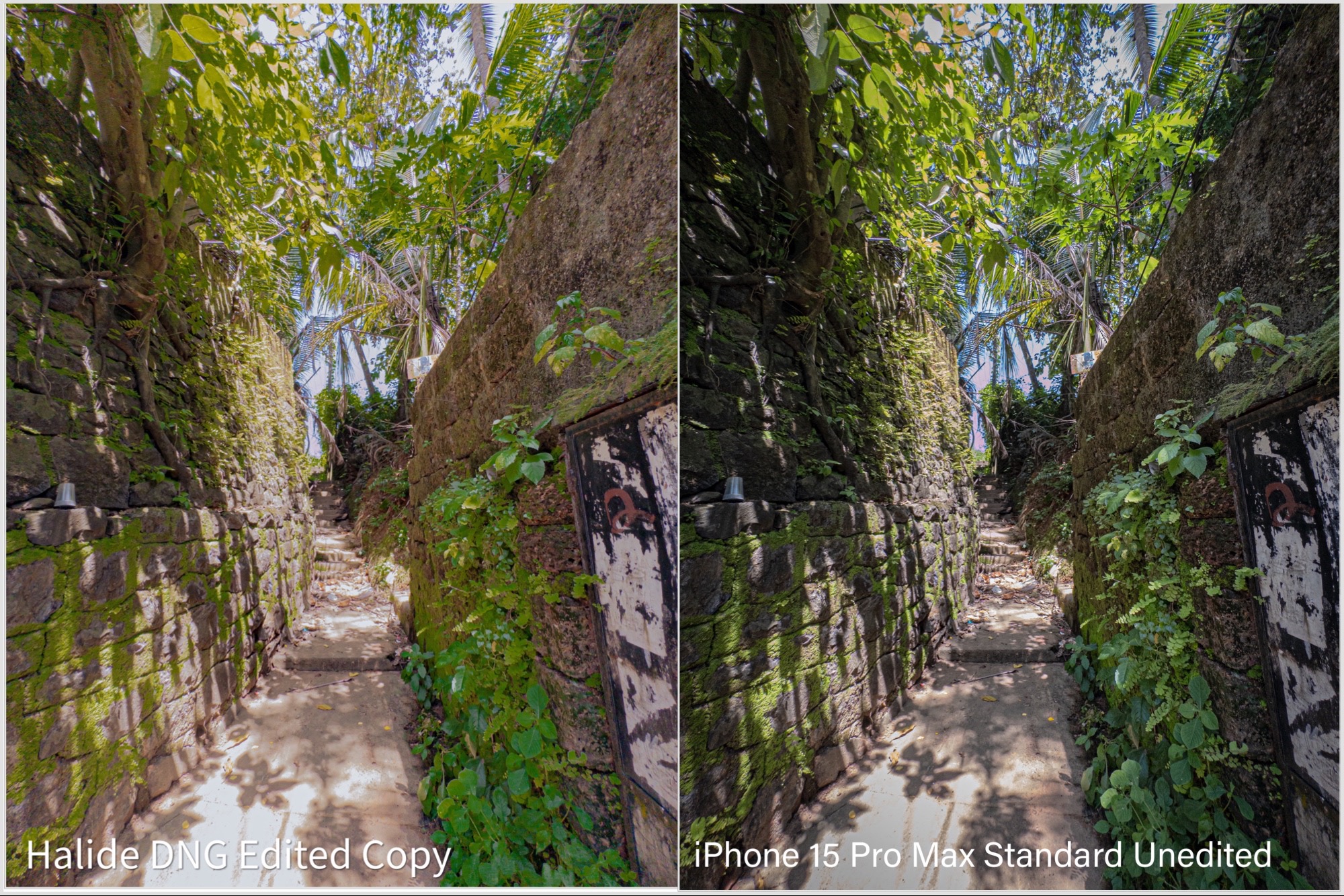 How Halide Process Zero changed my iPhone camera forever