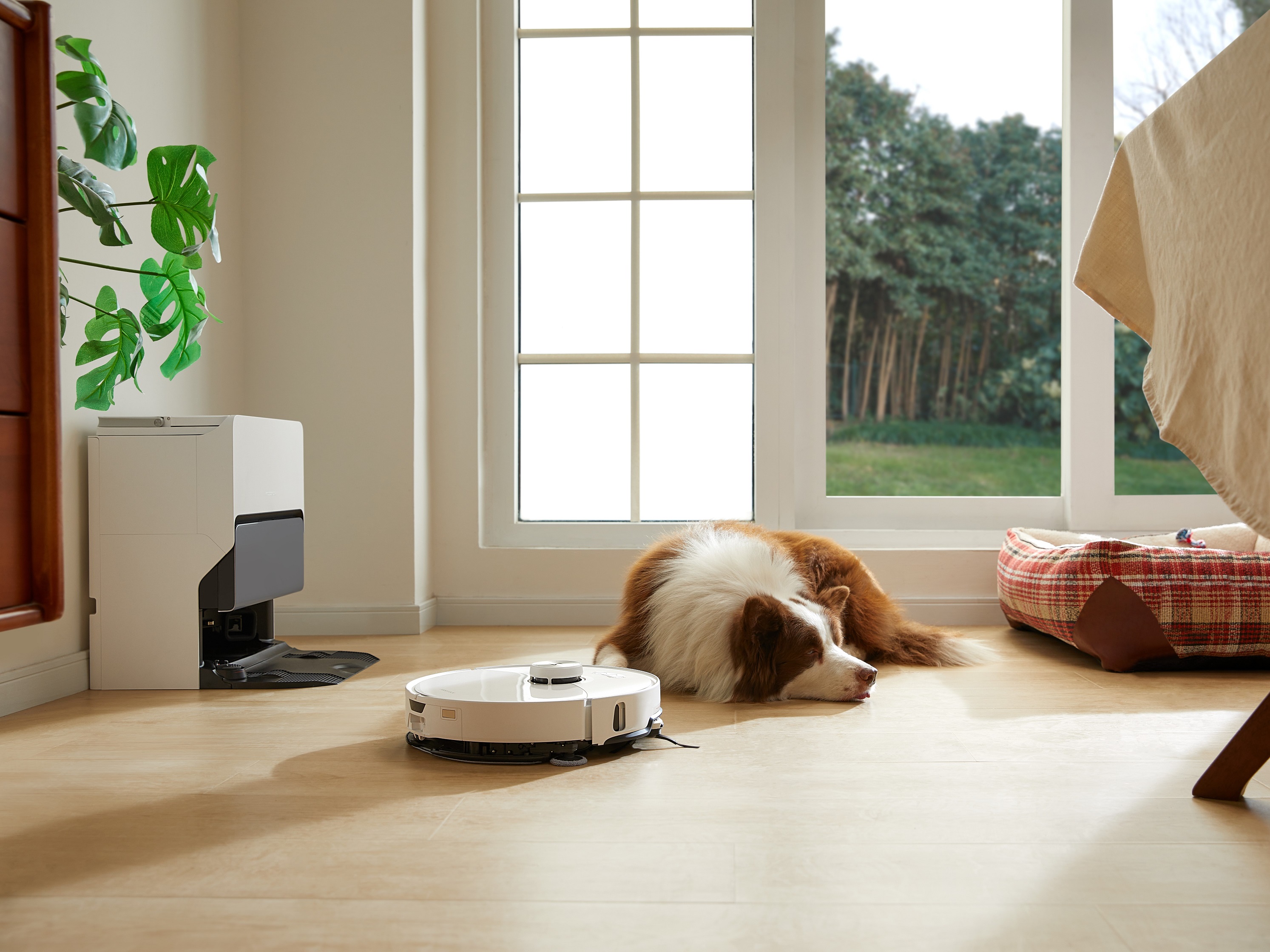 Robot aspirateur et laveur Roborock S8 MaxV Ultra avec sieste de chien à proximité