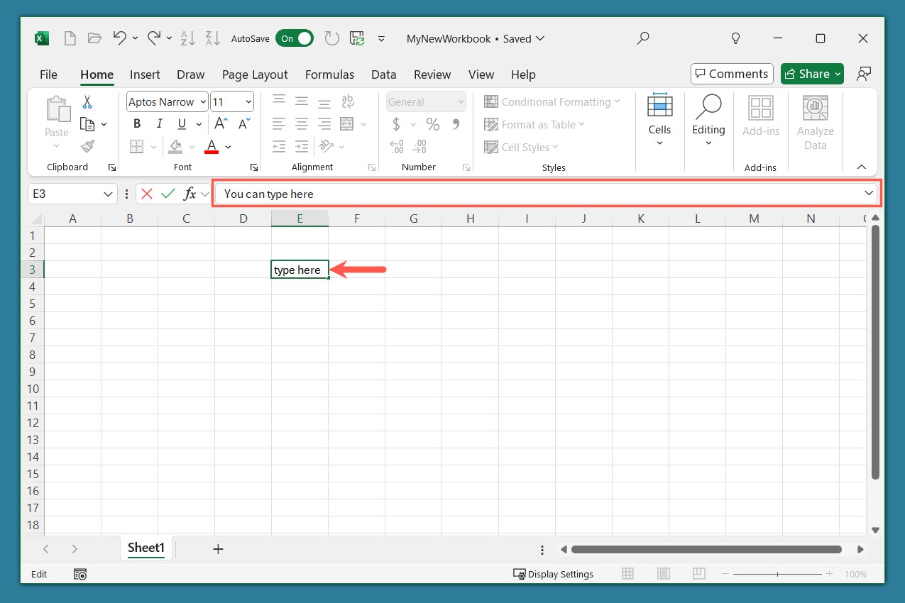 Typing cell contents in the Excel Formula Bar.