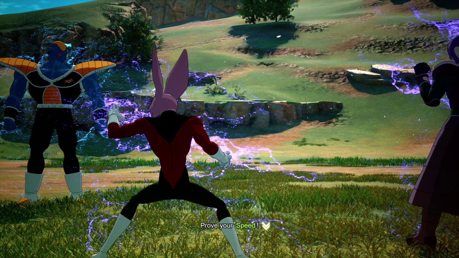 Characters stand in a field in Dragon Ball: Sparking! Zero.