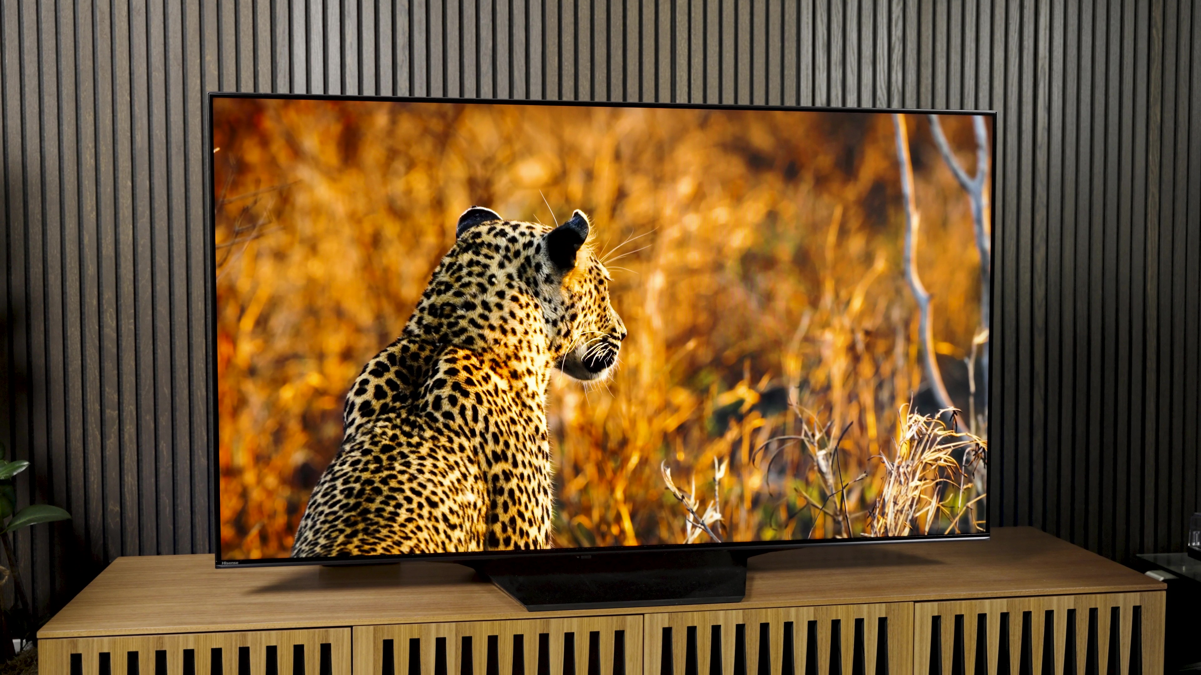 Hisense U7n TV-Rezension