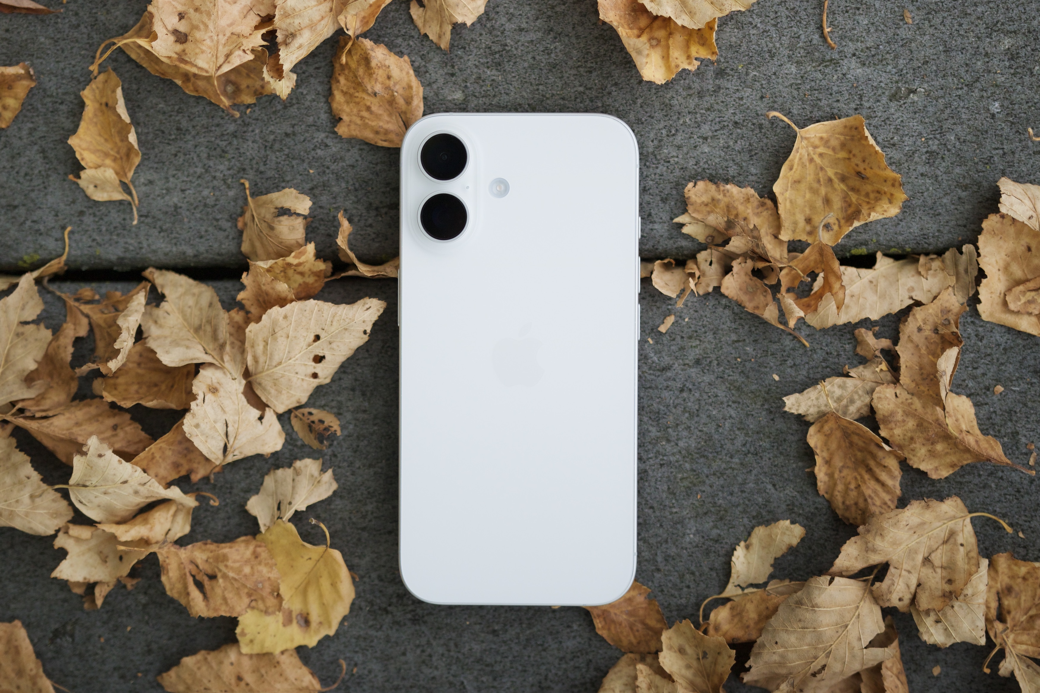 Apple iPhone 16 vs. Google Pixel 9: a clear winner