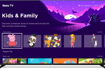 Roku OS 14 is for the kids, and the voice control users