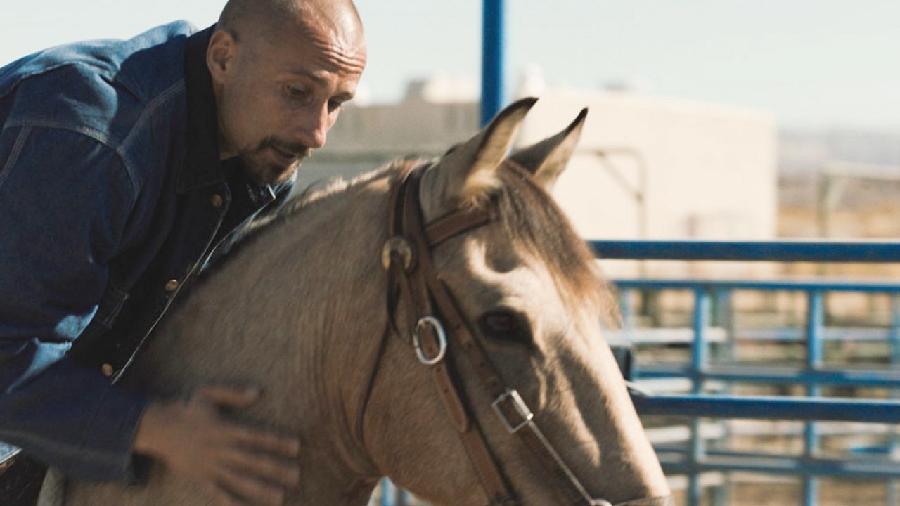 Im Mustang reitet ein Mann auf einem Pferd.