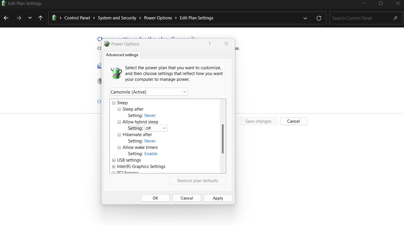 Configuración de energía en el Panel de control de Windows.