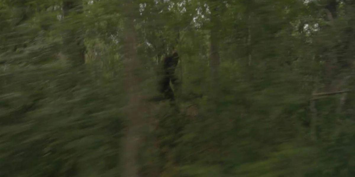 Bigfoot runs through the forest in Exists