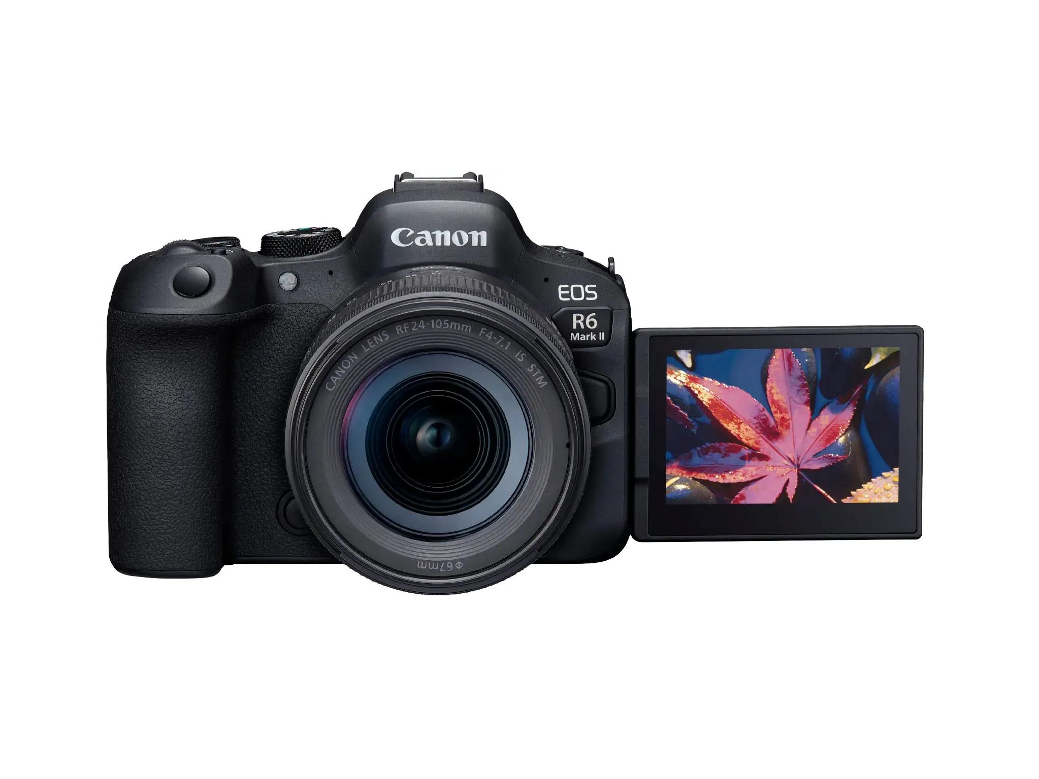 A Canon EOS R6 Mark II mirrorless camera with a lens attached.