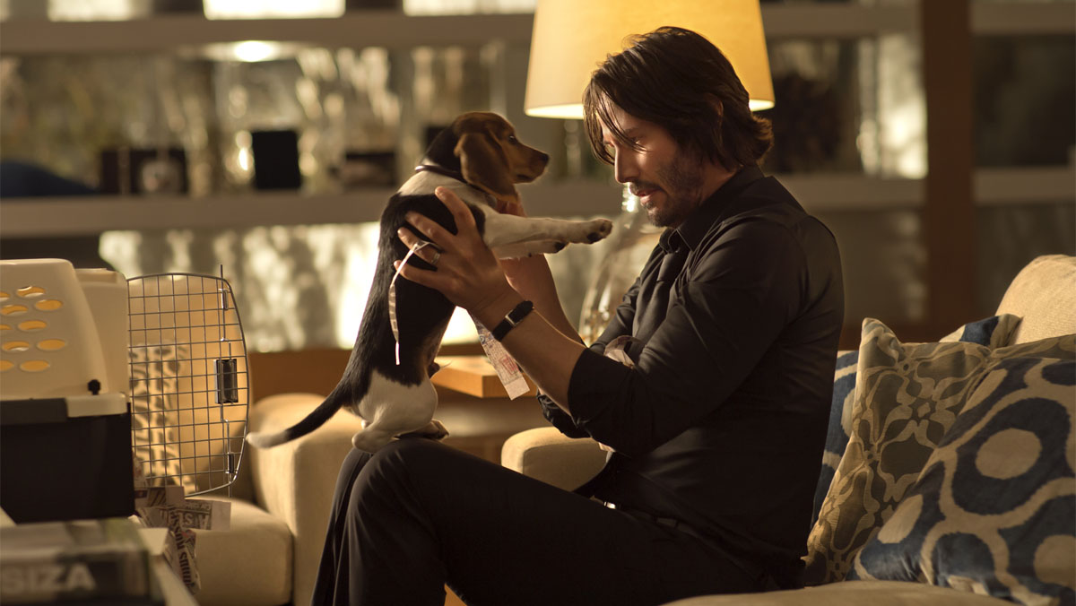 Keanu Reeves sostiene un cachorro en John Wick.