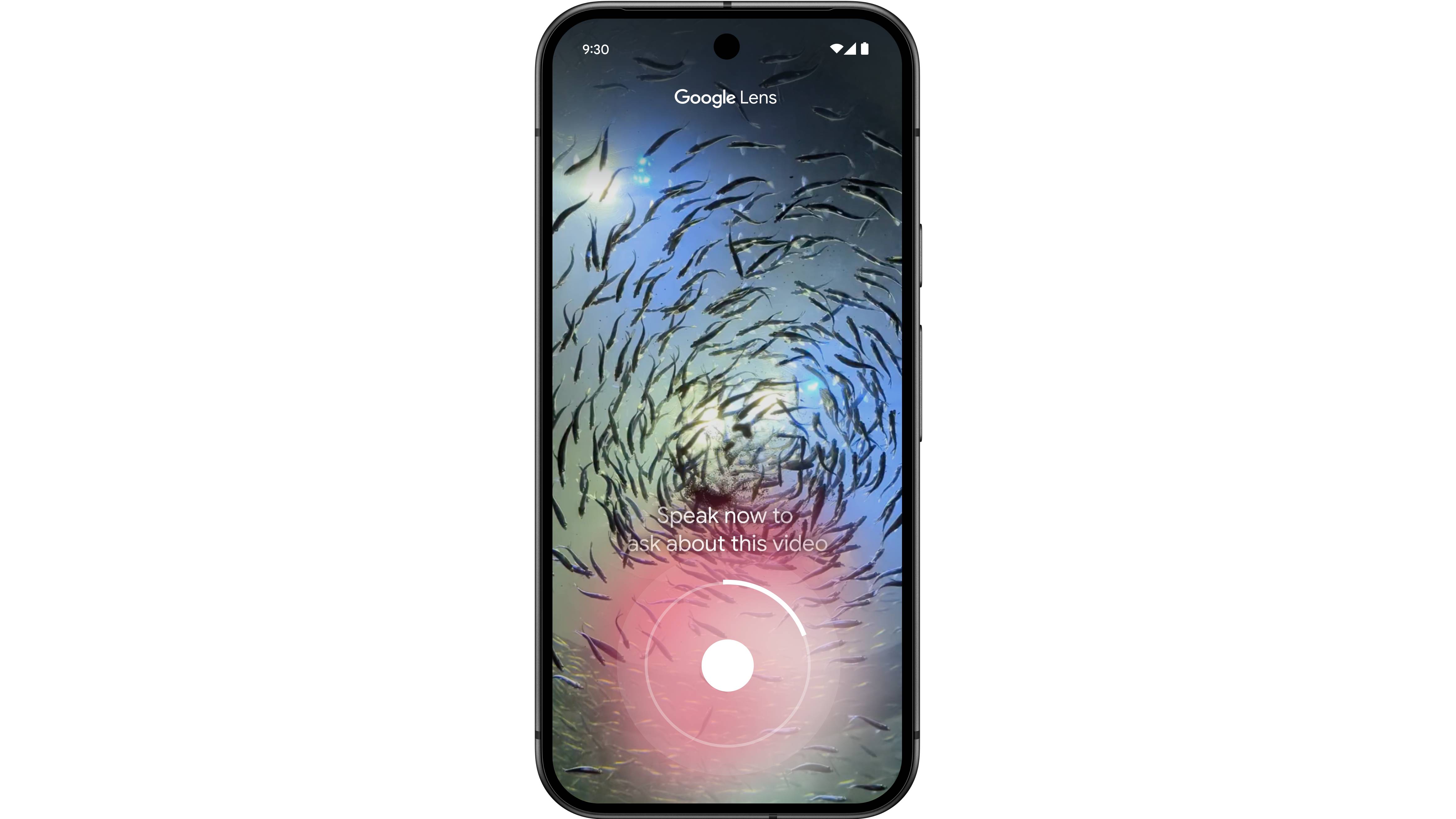 Google lens analyzing a video of a school of fish.