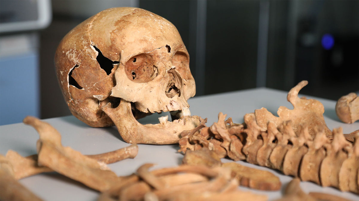 The skeletal remains of a woman who was believed to be a vampire in Secrets of the Dead.