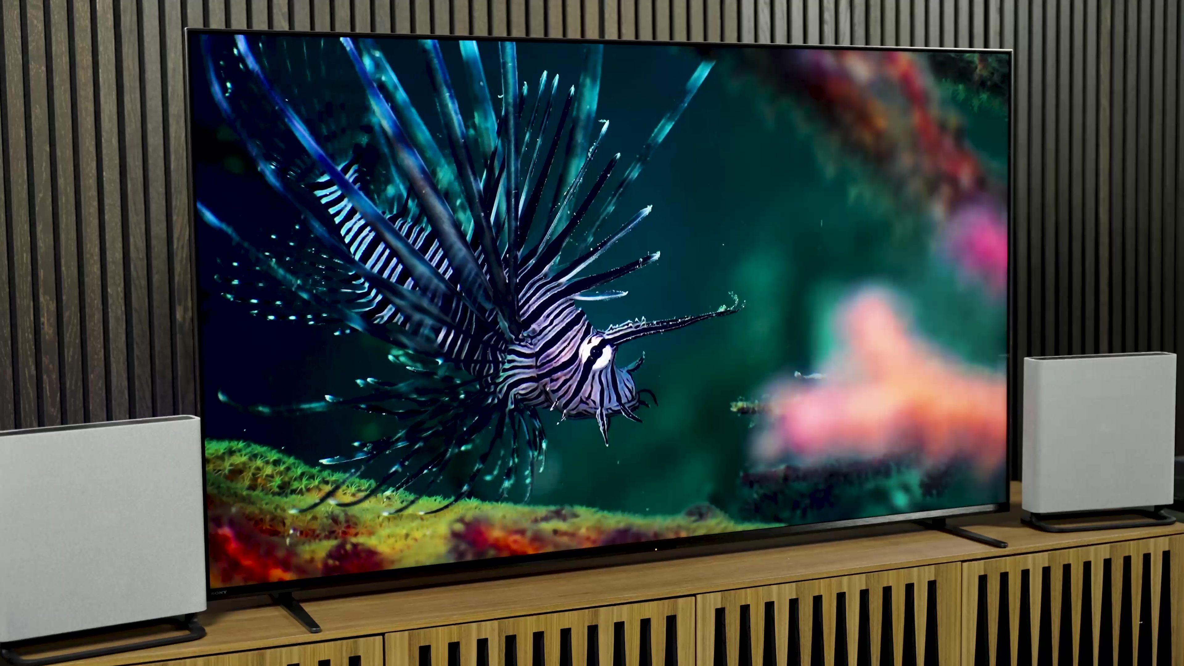 Sony Bravia 7 Testbericht.