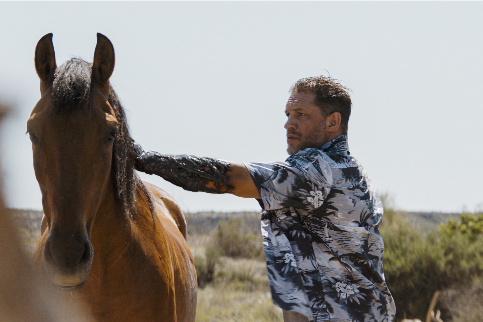 Tom Hardy toca un caballo en Venom: The Last Dance.