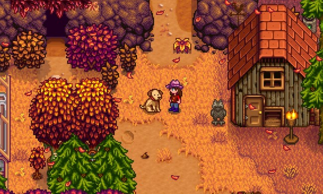 Standing beside pet dog in Stardew Valley.