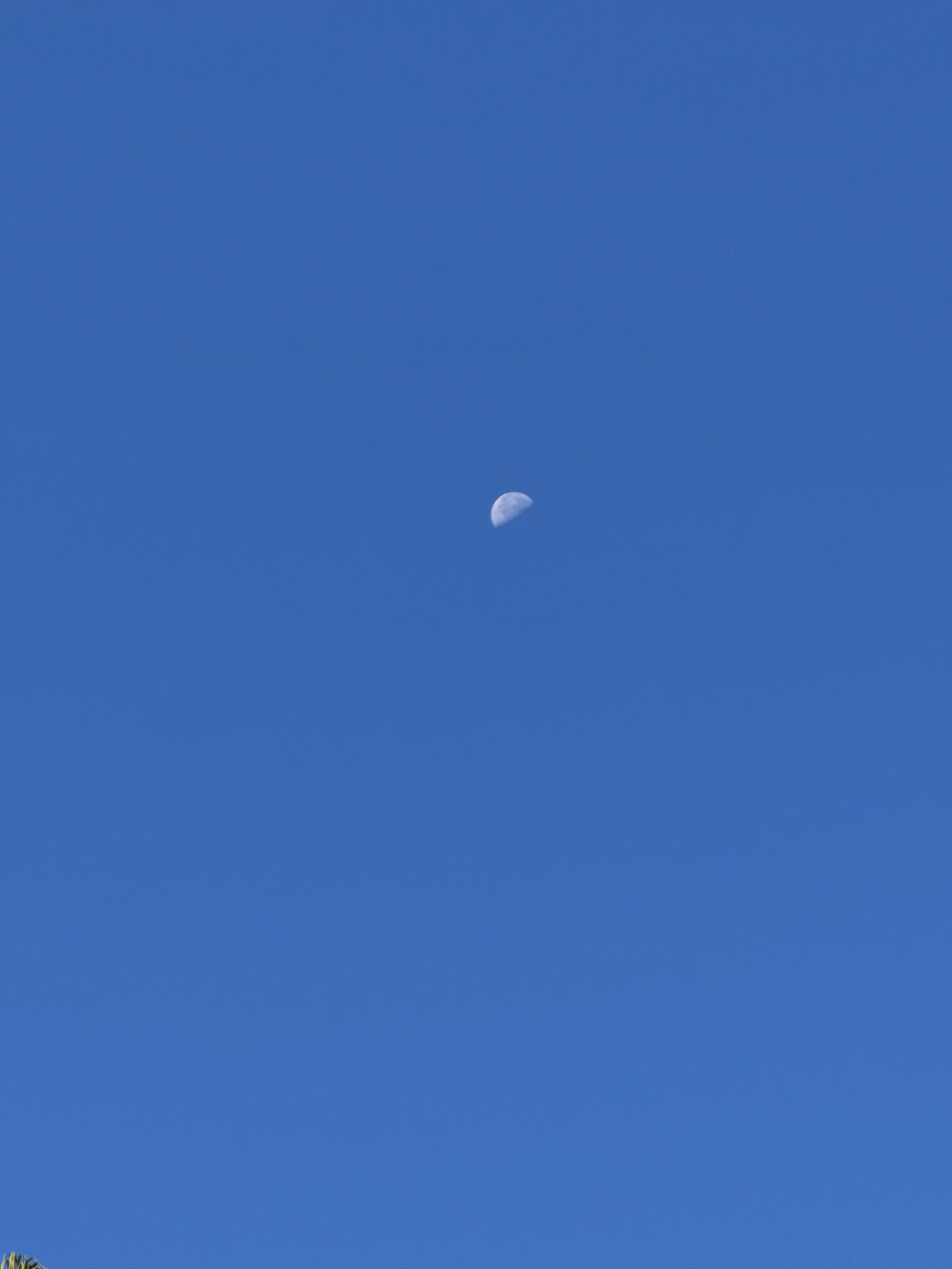 Day time moon 5x taken with iPhone 15 Pro.