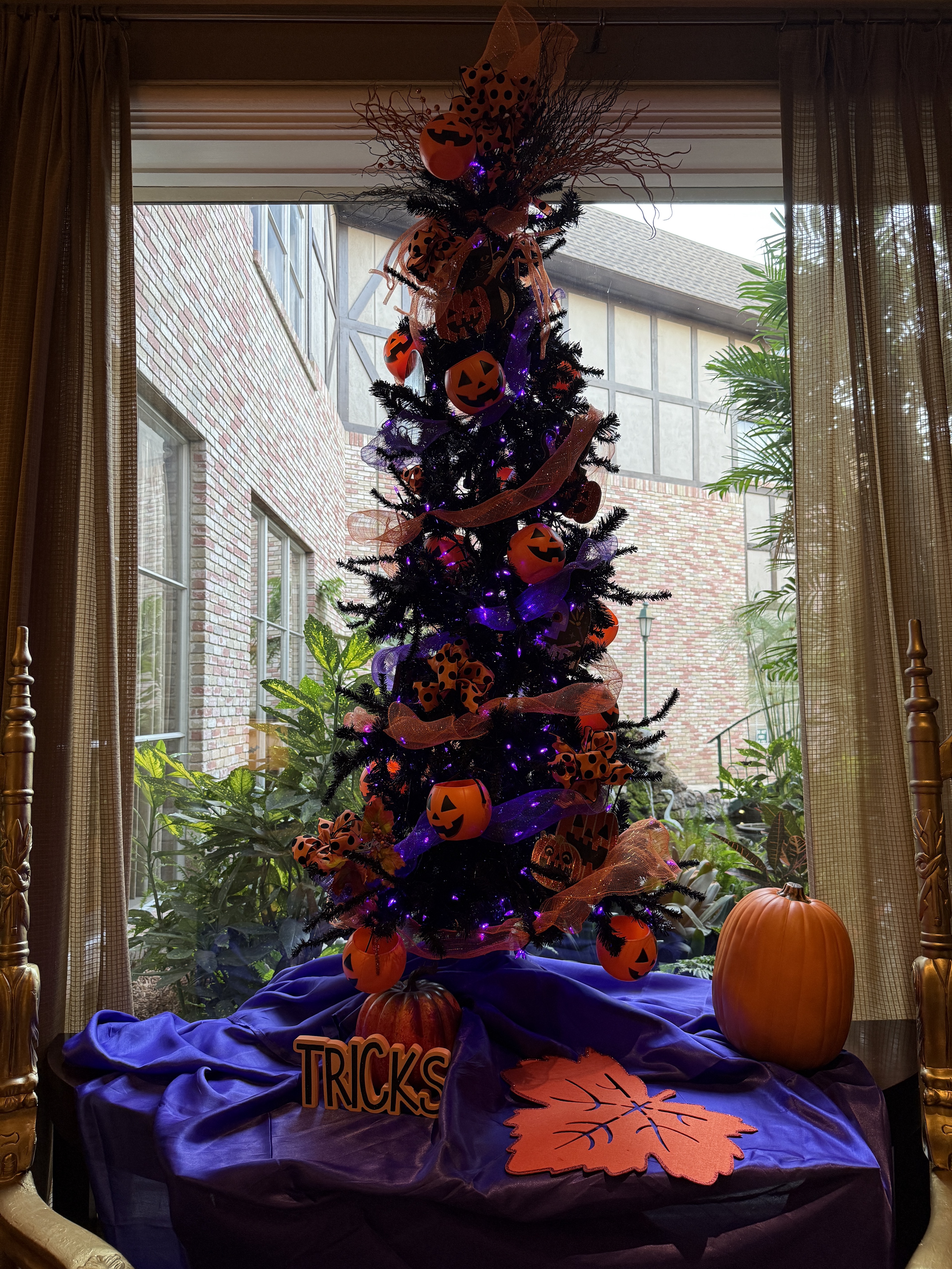 Halloween tree taken with iPhone 16 Pro.