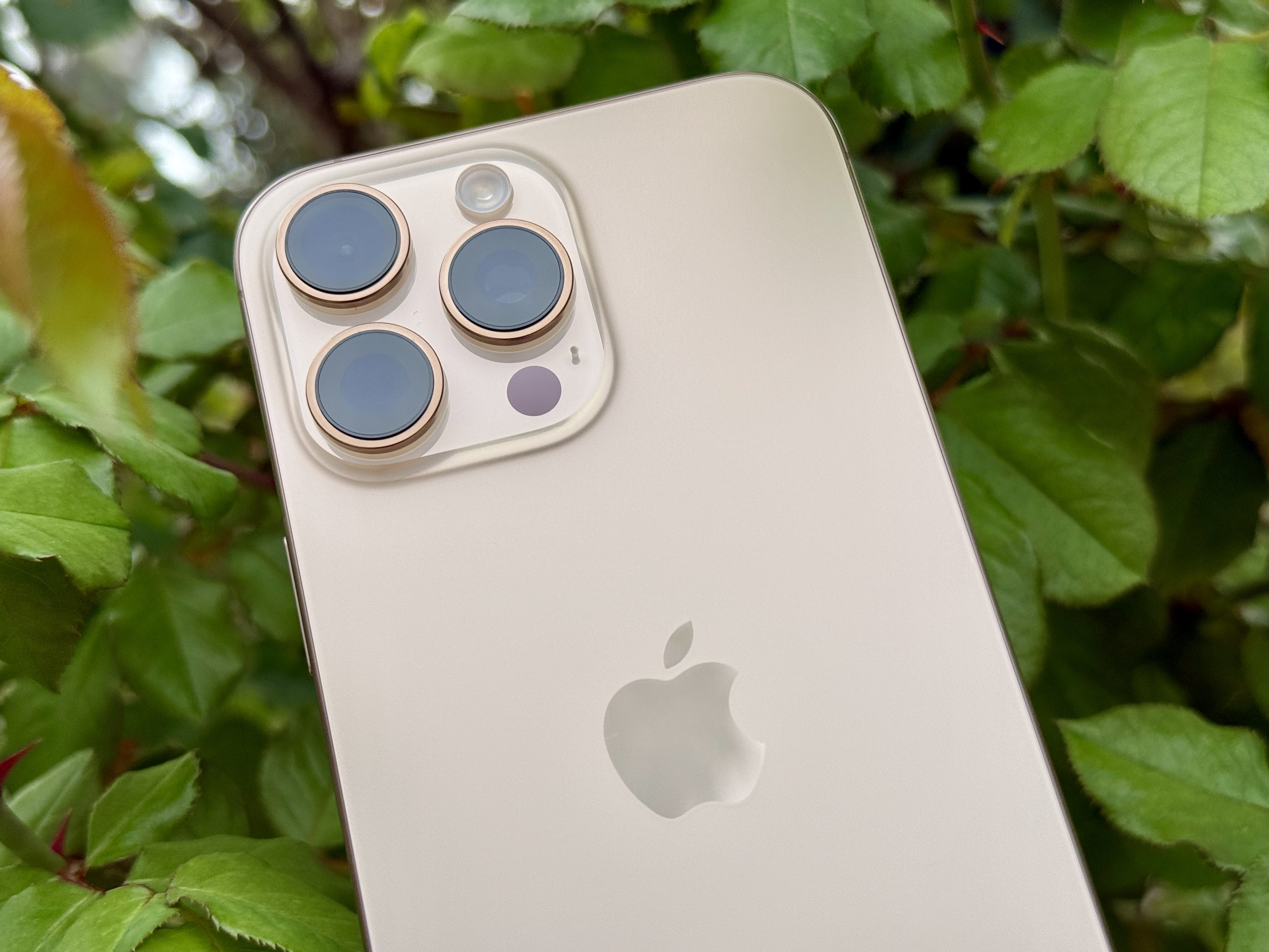 iPhone 16 Pro Max review: Bigger is better?