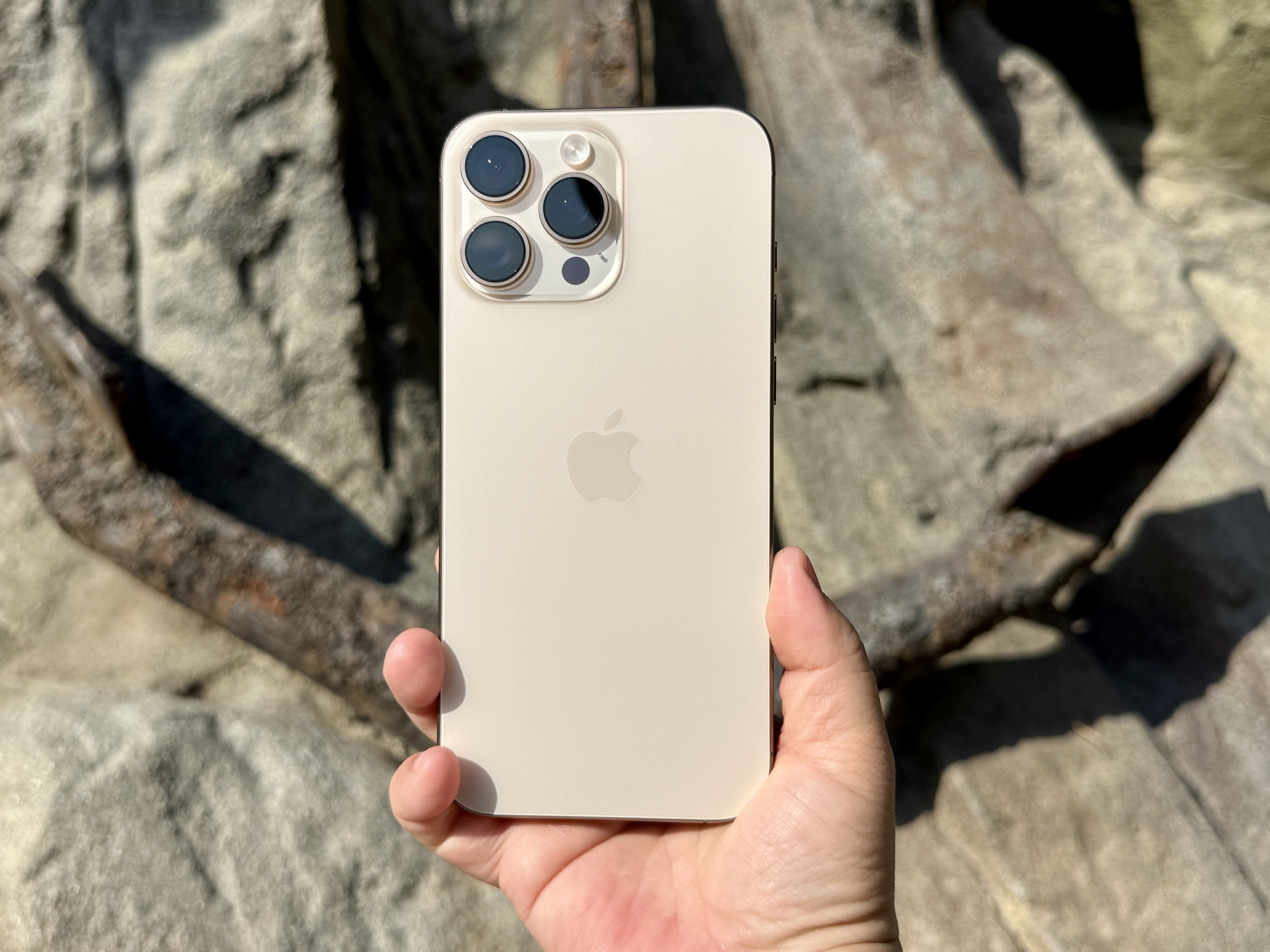 iPhone 16 Pro Max in Desert Titanium.