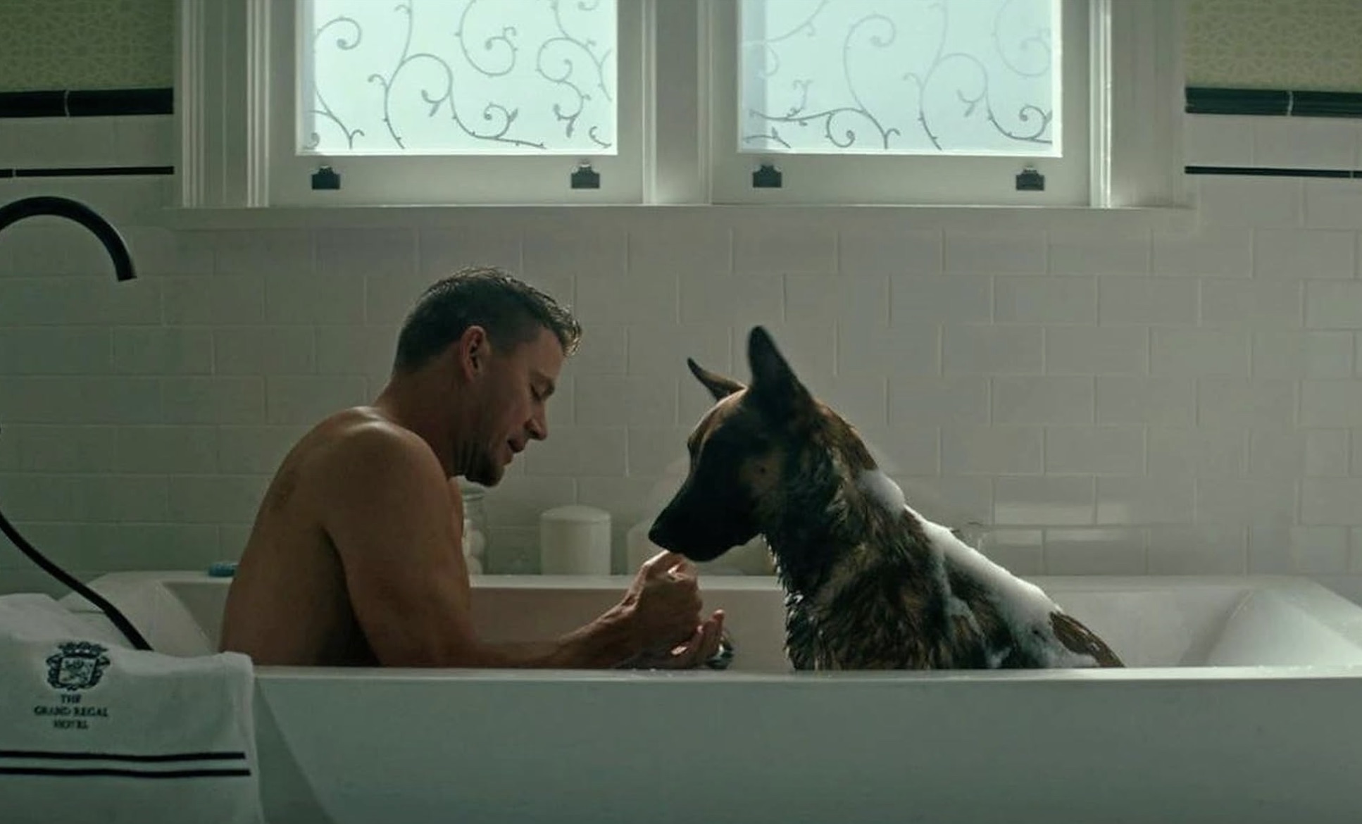 Ein Mann und ein Hund sitzen in einer Badewanne.