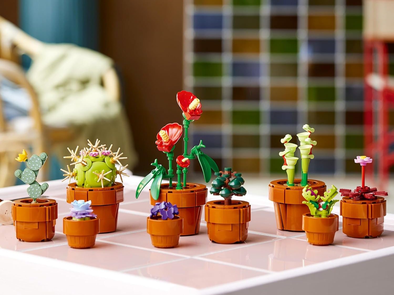 Ein zusammengebautes Lego Icons Tiny Plants-Set wird ausgestellt.