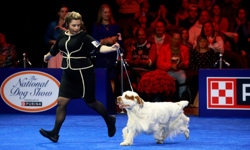 A woman runs around with a dog on a leash.