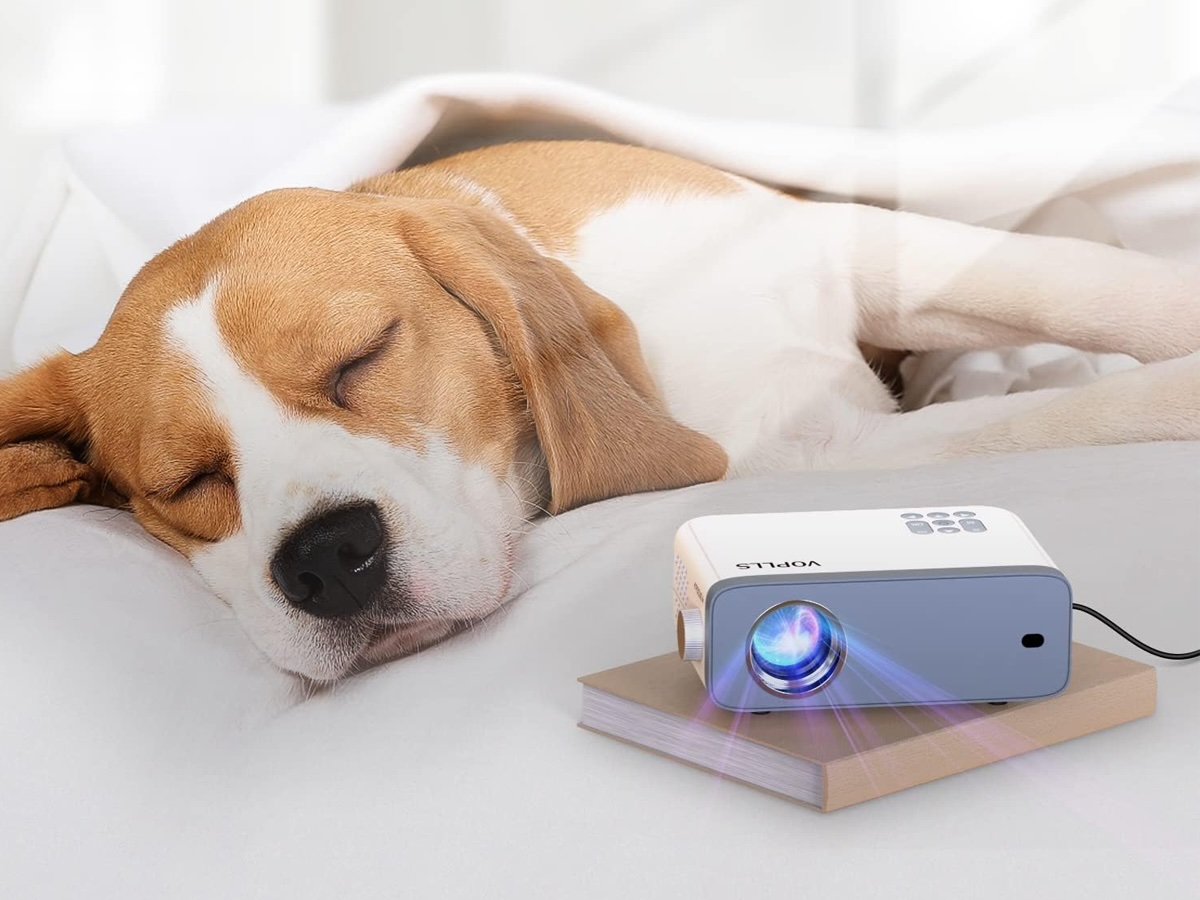 Un chien dort à côté du mini projecteur Voplls 1080p.