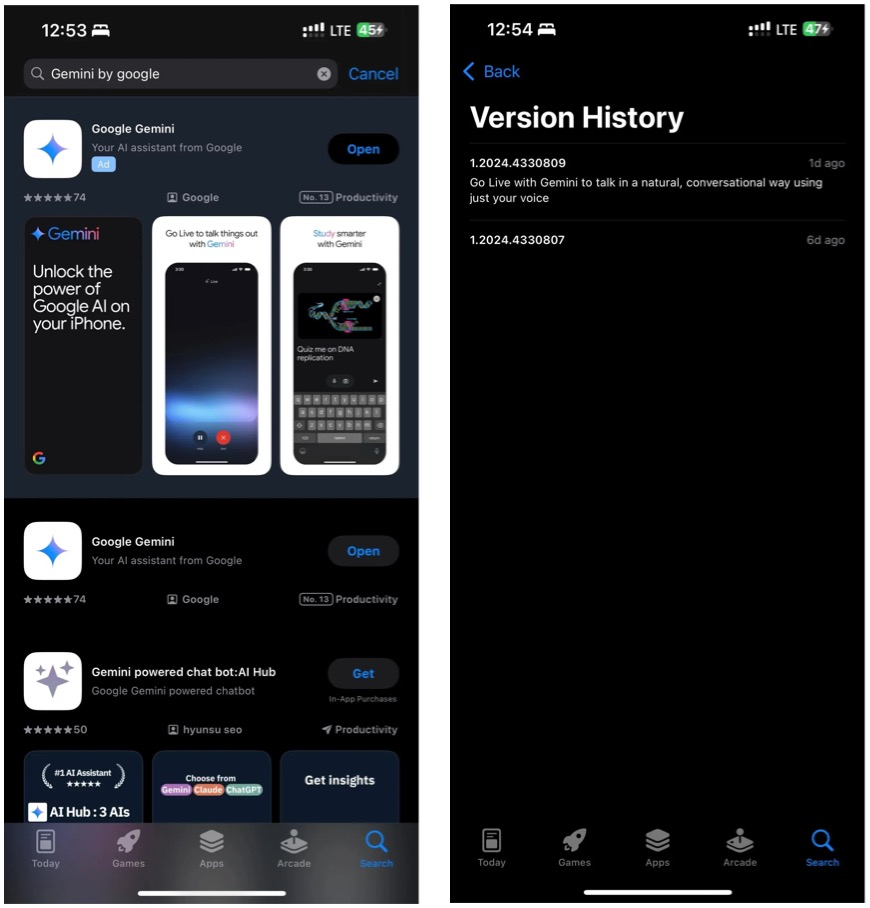 iOS 上的 Google Gemini 应用程序。