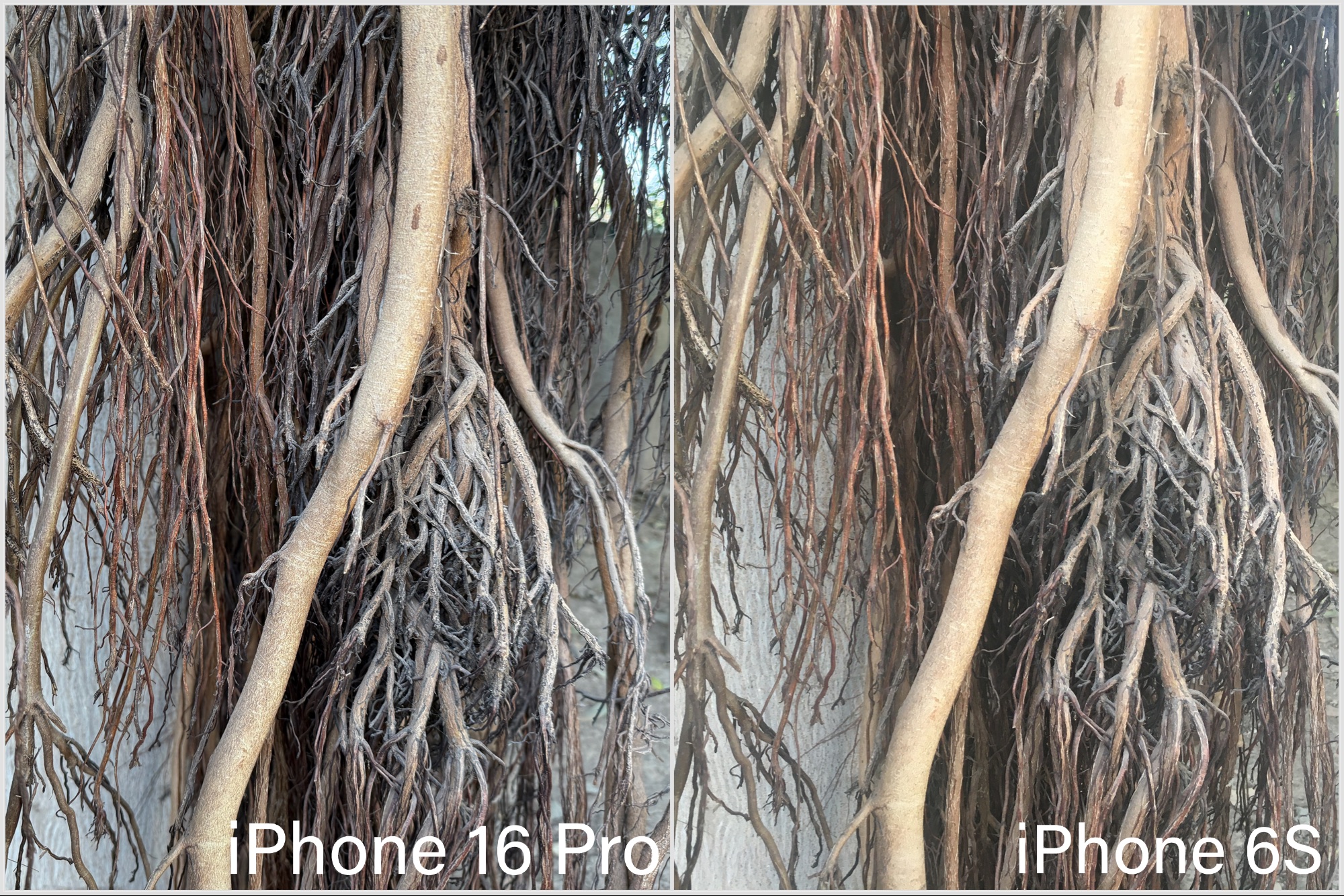 I did an iPhone 16 Pro vs. iPhone 6s camera test, and the results blew me away