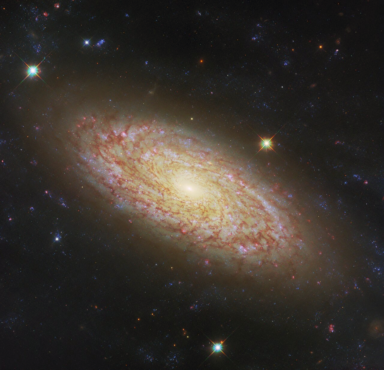 Nesta nova Imagem da Semana do Telescópio Espacial Hubble da NASA/ESA está a galáxia espiral NGC 2090, localizada na constelação de Columba.