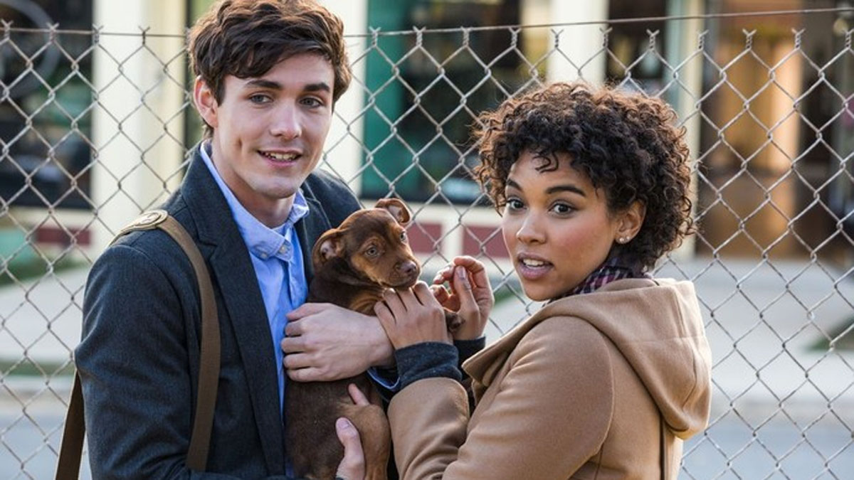 Jonah Hauer-King and Alexandra Shipp hold a dog in A Dog's Way Home. 